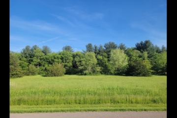 Great Spot in White Oaks to Build Your Dream Home!